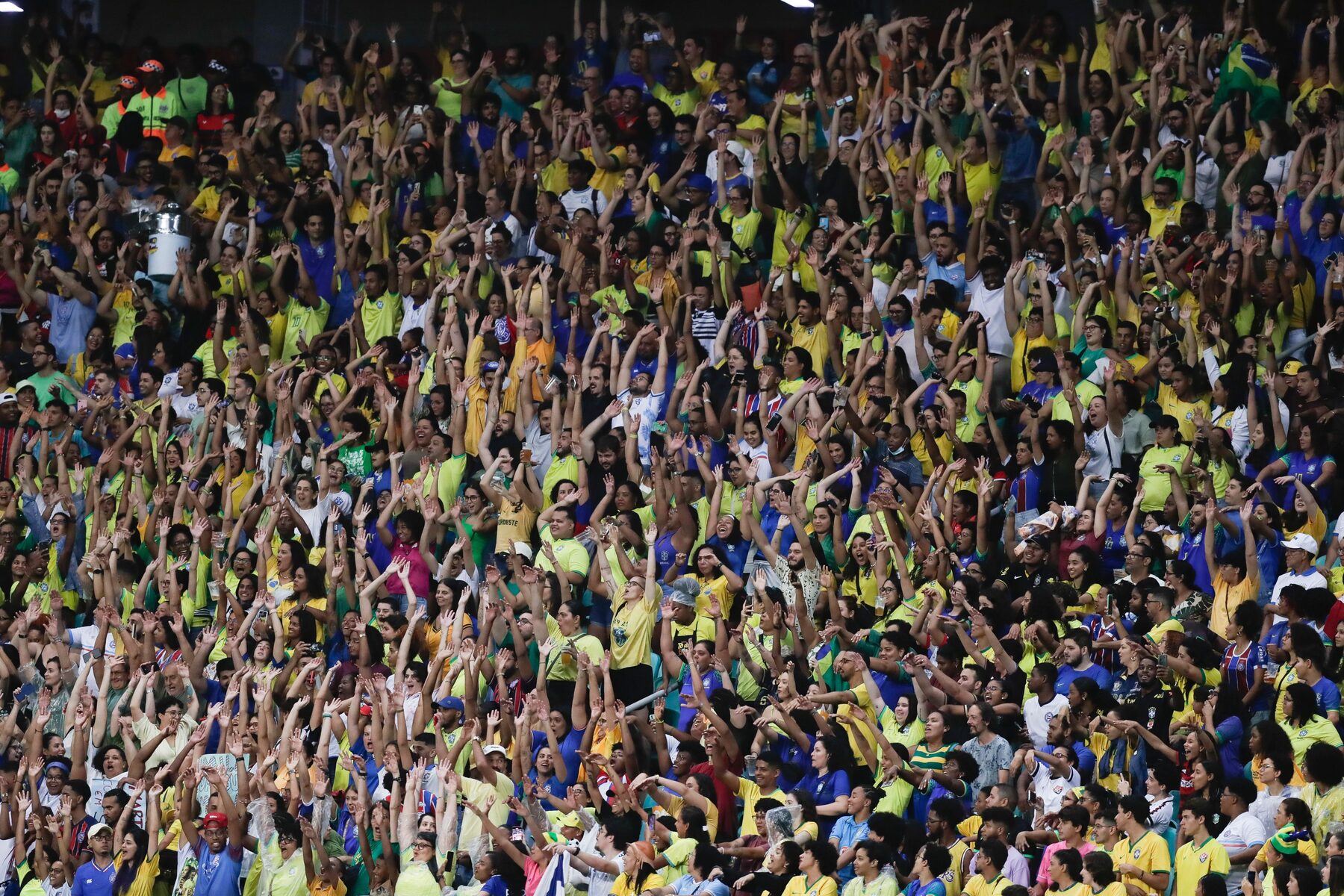 Torcida brasileira na Arena Pernambuco em amistoso da Seleção Feminina