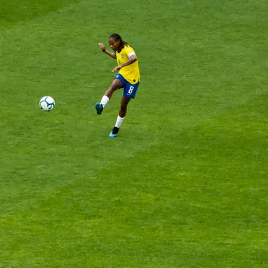 Formiga